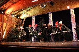 Hafenweihnacht (1)